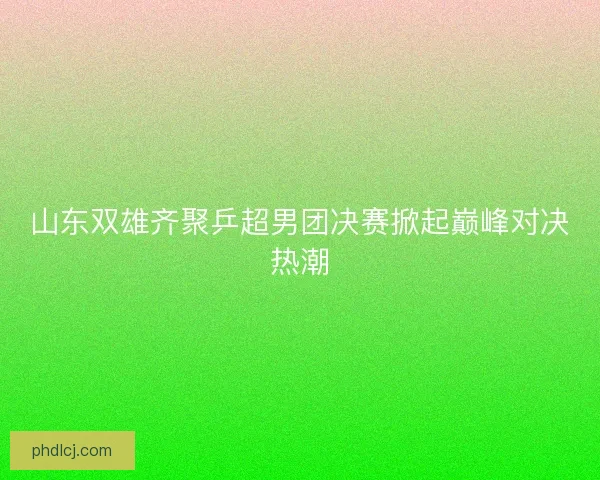山东双雄齐聚乒超男团决赛掀起巅峰对决热潮